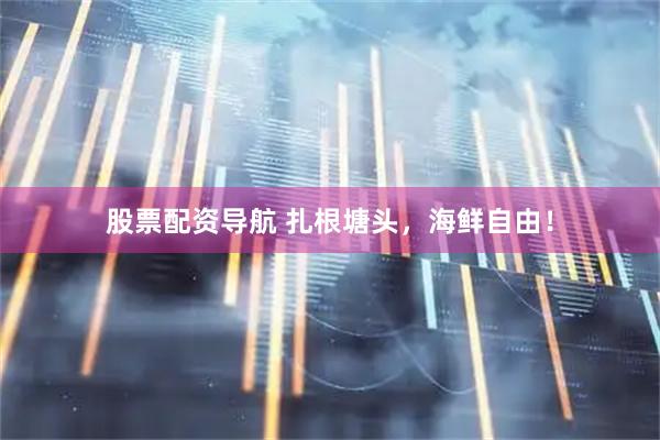 股票配资导航 扎根塘头，海鲜自由！
