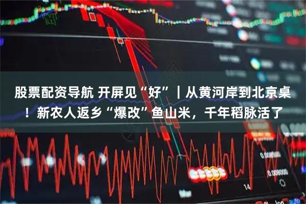 股票配资导航 开屏见“好”｜从黄河岸到北京桌！新农人返乡“爆改”鱼山米，千年稻脉活了